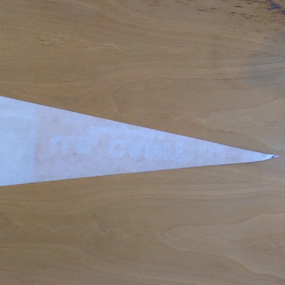 Vintage 60s U.S. Capitol Washington D.C. Pennant Flag 24
